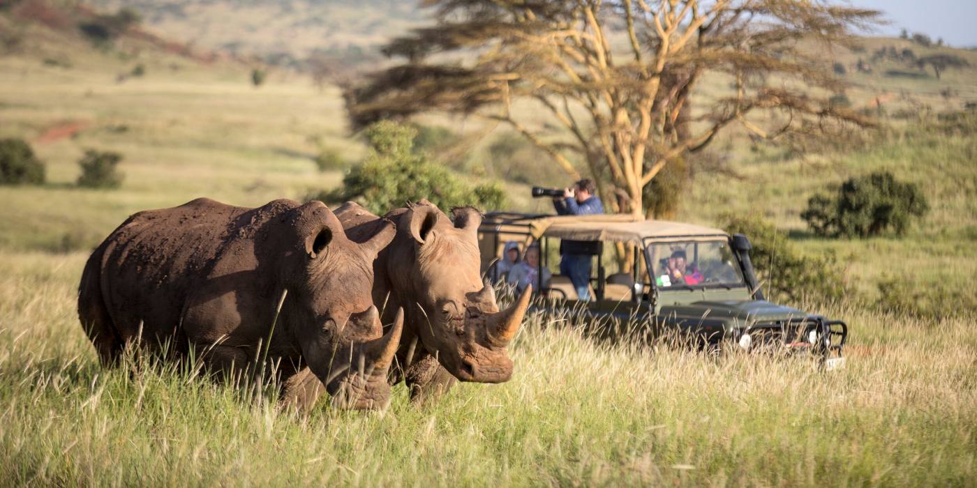 https://www.retetisafaris.com/wp-content/uploads/2023/06/Kenya-luxury-safari.jpg