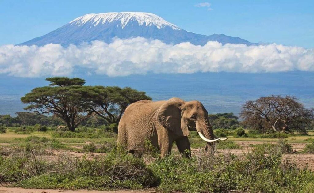 Amboseli National Park Reteti Safaris