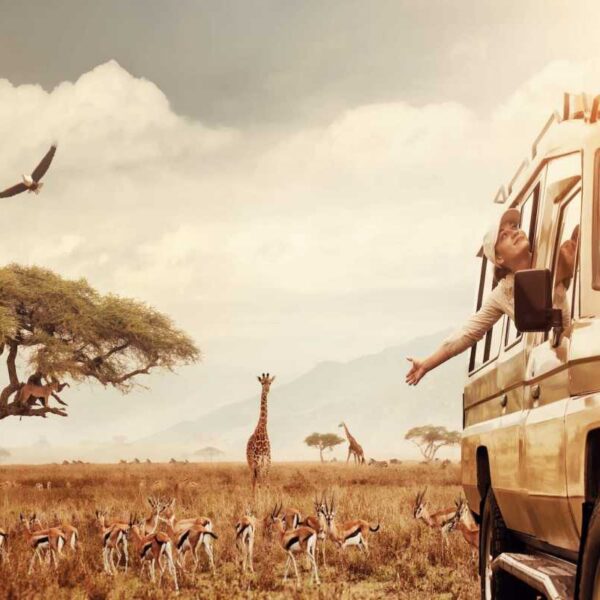 East Africa Explorer Safari – 12 Days in Kenya & Tanzania