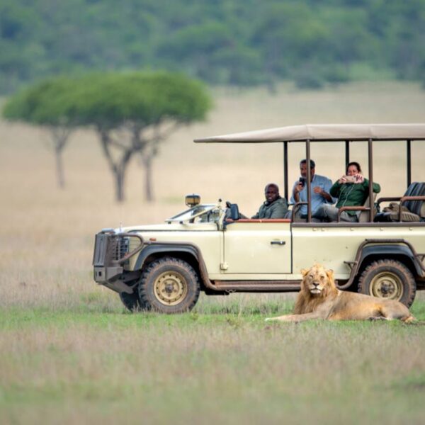 9-Day Best of Kenya and Tanzania Safari