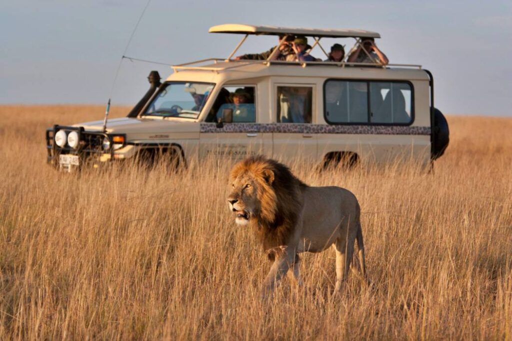 East Africa safari wildlife experience with Reteti Adventure Safaris