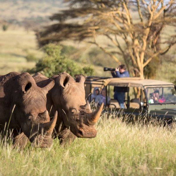 Best tours and travel companies in kenya