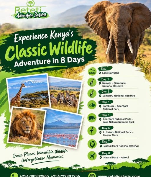 Reteti Adventure Safaris