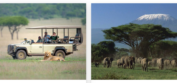 Tanzania Safari Packages from India